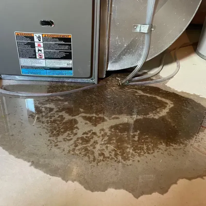 Appliance Leak Cleanup in Upper Arlington, OH